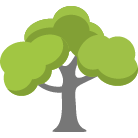 Palm Beach Gardens Tree Trimming Service