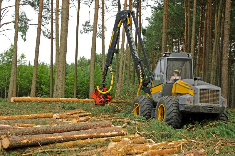 Tree Trimming