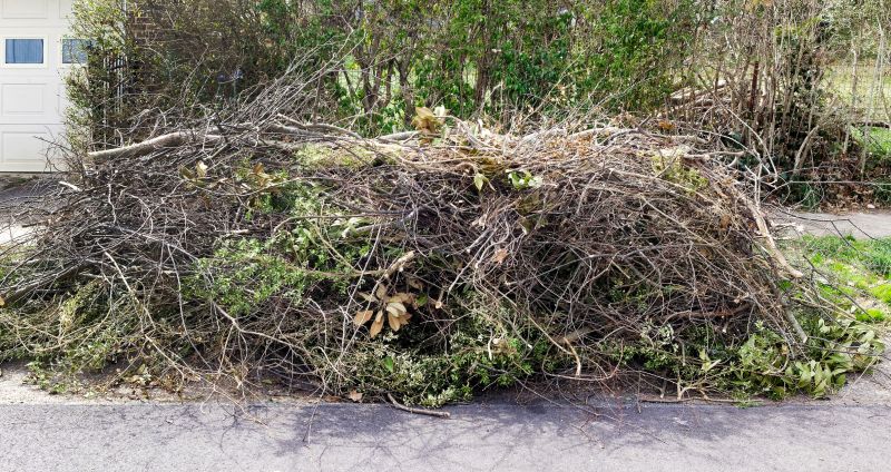 Dead Branch Removal