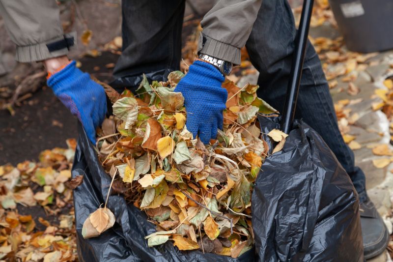Leaf Collection