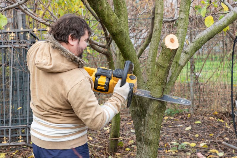Tree Branch Cutting detail