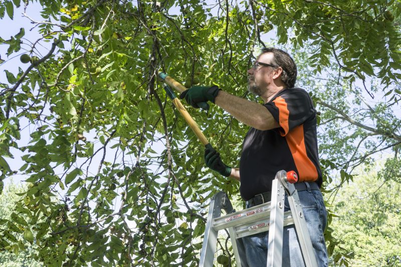 Limbs Trimming