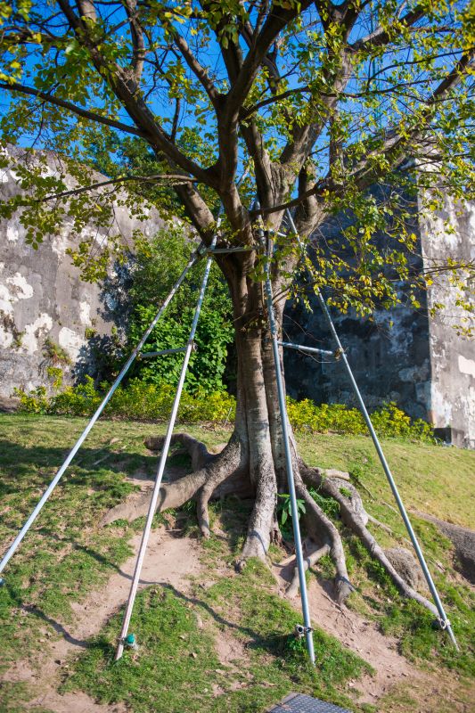 Structural Pruning
