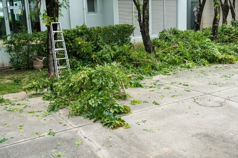 Removing Dead Branches