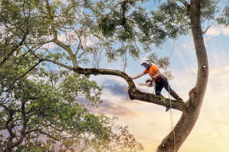 Safety Tree Trimming