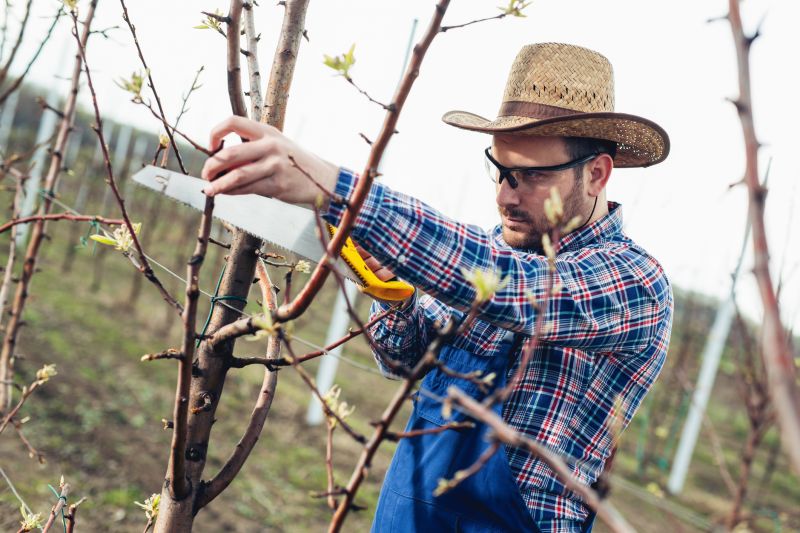 Dormant Season Pruning