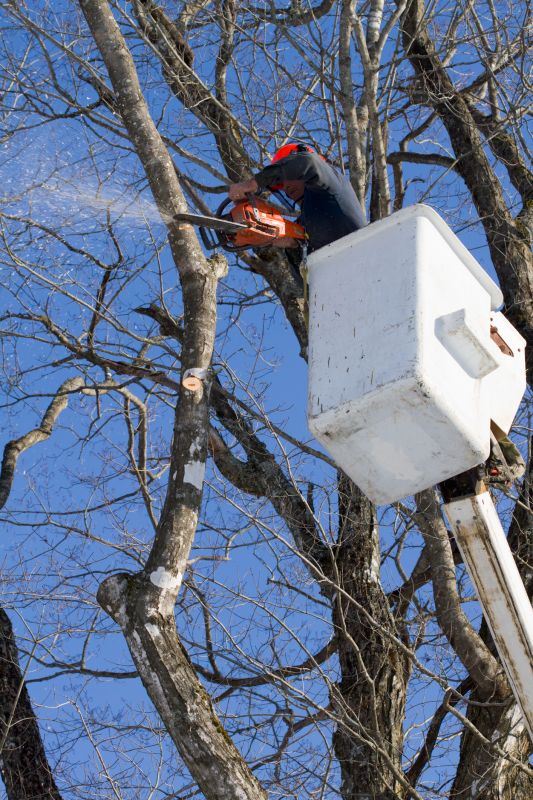 Pruning in Action