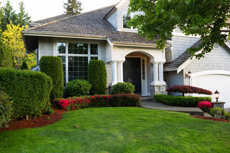 Aesthetic Tree Pruning